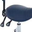 Picture of SADDLE STOOL WITH BACKREST